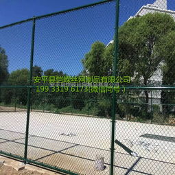 愷嶸現(xiàn)貨籃球場圍網(wǎng) 運動場防護圍欄 浸塑框架護欄網(wǎng) 球場護欄 體育場防護網(wǎng) 價格 谷瀑環(huán)保
