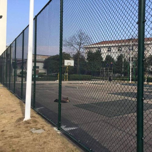 【宿遷焊接式體育場防護網(wǎng)a圓管柱運動場隔離網(wǎng)a迅鷹鐵絲網(wǎng)勾花護欄網(wǎng)生產(chǎn)廠】- 