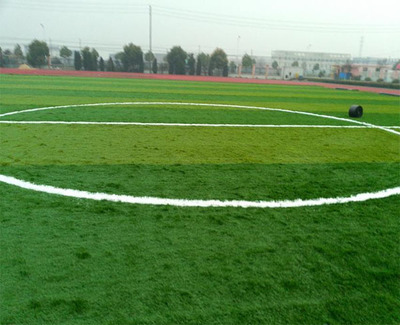 宿州人造草坪-人造草坪價格-安徽雙林(推薦商家)