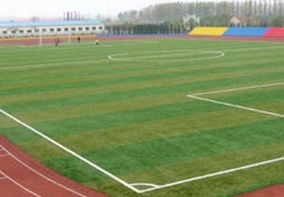 塑膠跑道_塑膠球場(chǎng)_人造草坪_pvc運(yùn)動(dòng)