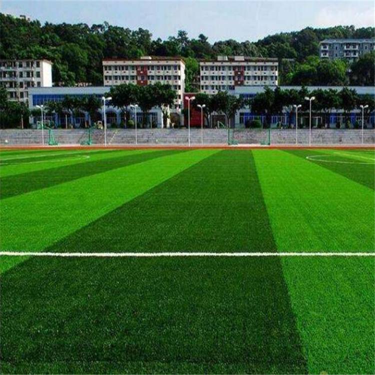 安徽學校操場人工草皮 仿真草坪足球場 球場假草坪鋪設廠家