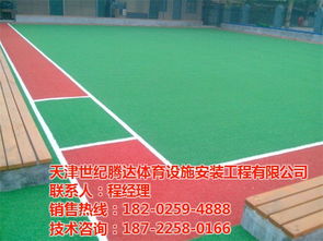 人造草坪施工 世紀(jì)騰達(dá) 在線(xiàn)咨詢(xún) 人造草坪
