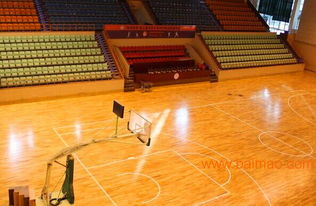 籃球木地板 實(shí)木運(yùn)動(dòng)地板 籃球館木地板生產(chǎn)廠(chǎng)家,籃球木地板 實(shí)木運(yùn)動(dòng)地板 籃球館木地板生產(chǎn)廠(chǎng)家生產(chǎn)廠(chǎng)家,籃球木地板 實(shí)木運(yùn)動(dòng)地板 籃球館木地板生產(chǎn)廠(chǎng)家價(jià)格